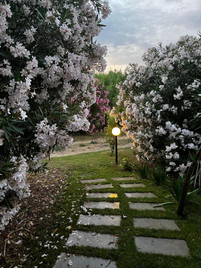 Hotel Frassetto Santa Teresa Gallura Ngoại thất bức ảnh